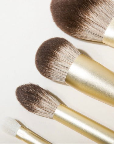 Olcay gulsen 8 piece brush set in leather box nvt